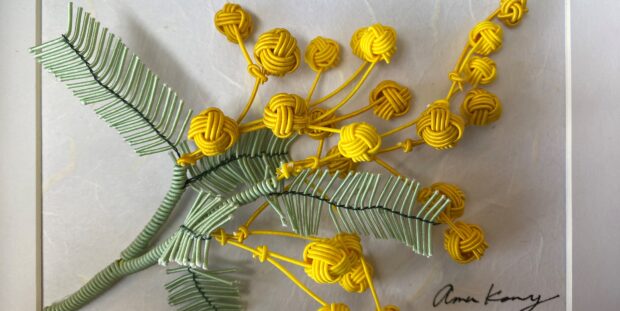Wattle flower made of multi coloured strings.